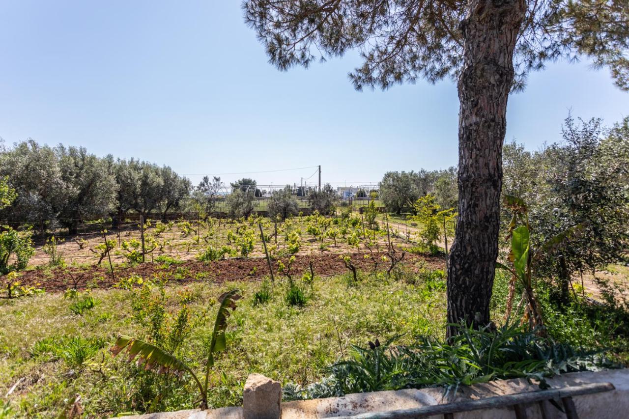 Villetta Mariangela Capilungo المظهر الخارجي الصورة